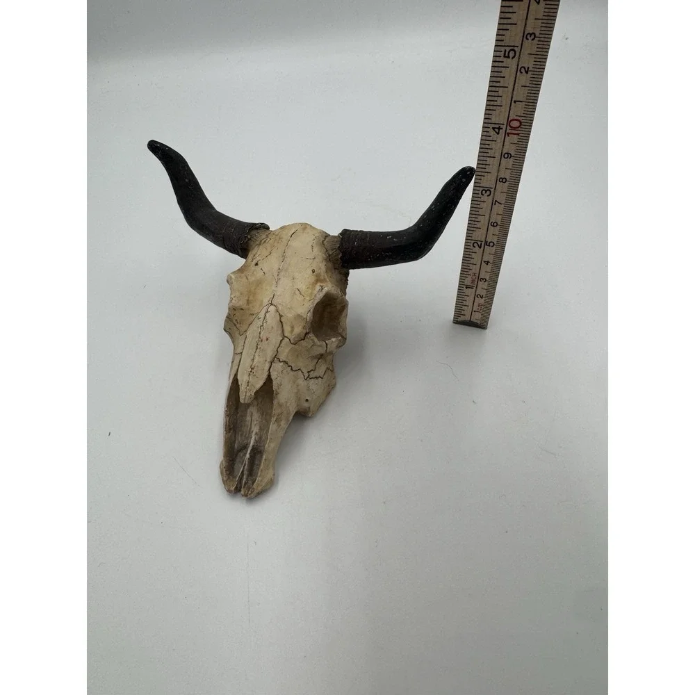 Small Resin Faux Skull With Horns‎
